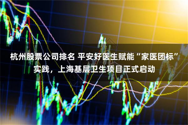 杭州股票公司排名 平安好医生赋能“家医团标”实践，上海基层卫生项目正式启动